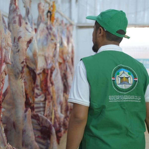 المساعدات 2 600x600