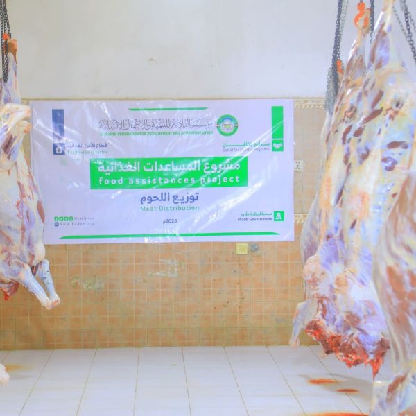 المساعدات 31 600x600