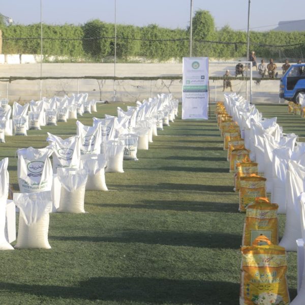 المساعدات 87 600x600